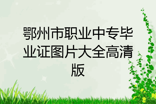鄂州市职业中专毕业证图片大全高清版