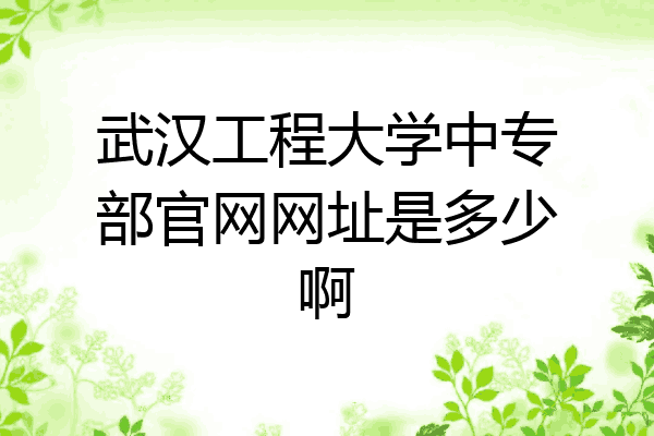 武汉工程大学中专部官网网址是多少啊