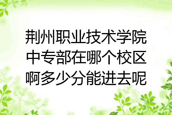荆州职业技术学院中专部在哪个校区啊多少分能进去呢