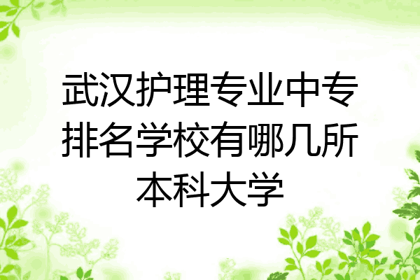 武汉护理专业中专排名学校有哪几所本科大学