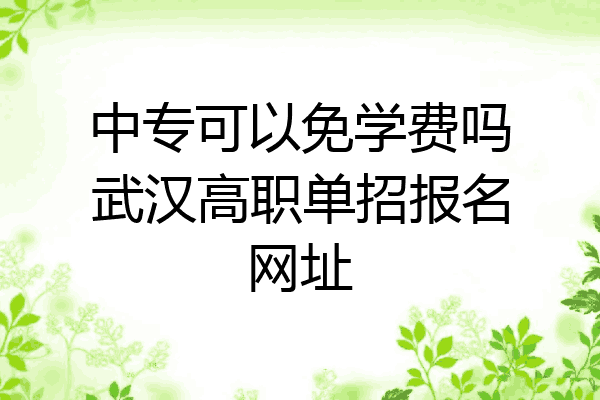 中专可以免学费吗武汉高职单招报名网址