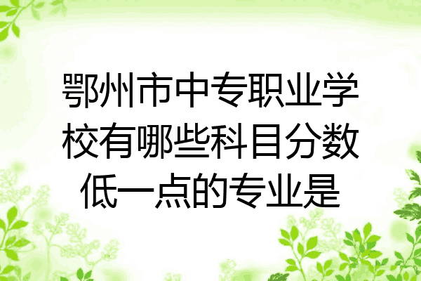 鄂州市中专职业学校有哪些科目分数低一点的专业是