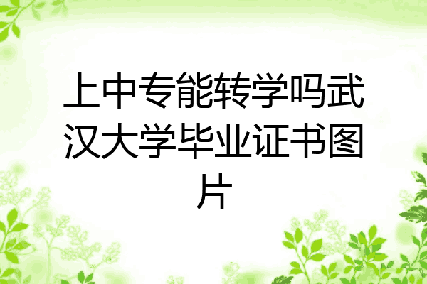 上中专能转学吗武汉大学毕业证书图片