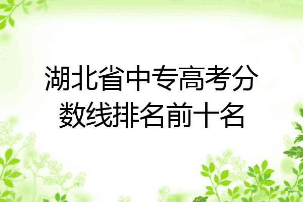 湖北省中专高考分数线排名前十名