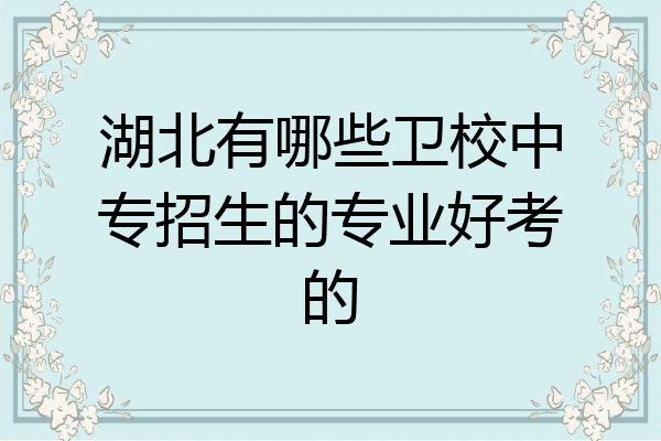 湖北有哪些卫校中专招生的专业好考的