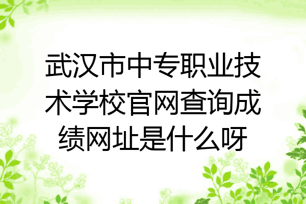 武汉市中专职业技术学校官网查询成绩网址是什么呀