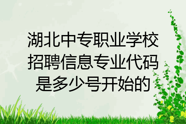 湖北中专职业学校招聘信息专业代码是多少号开始的