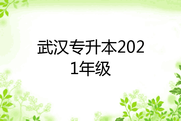 武汉专升本2021年级
