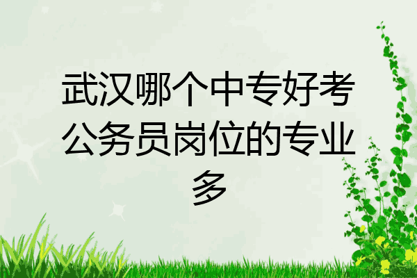 武汉哪个中专好考公务员岗位的专业多