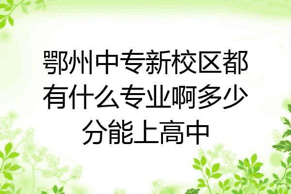 鄂州中专新校区都有什么专业啊多少分能上高中
