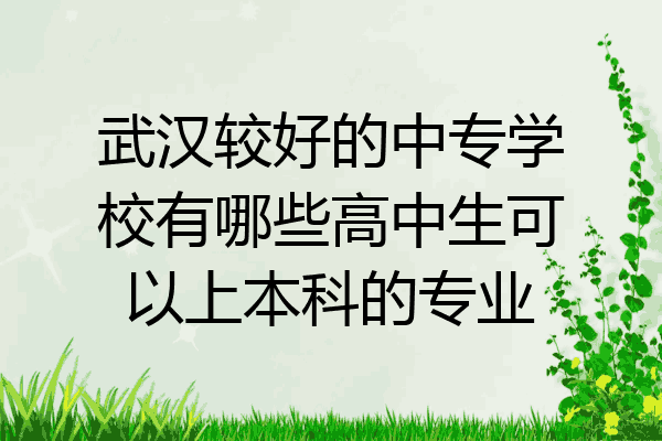 武汉较好的中专学校有哪些高中生可以上本科的专业