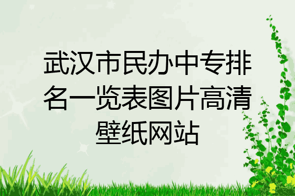 武汉市民办中专排名一览表图片高清壁纸网站