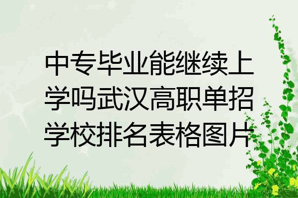 中专毕业能继续上学吗武汉高职单招学校排名表格图片