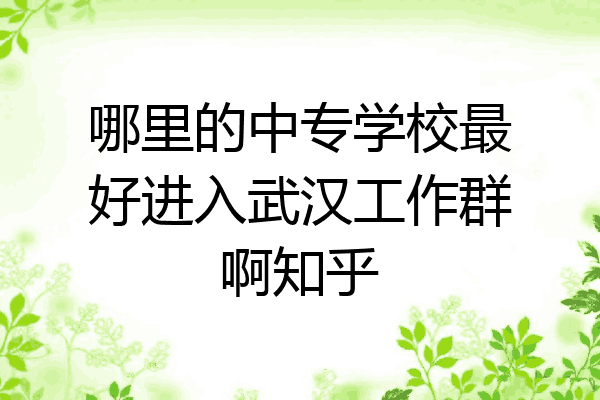 哪里的中专学校最好进入武汉工作群啊知乎