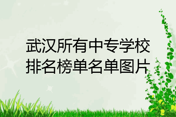 武汉所有中专学校排名榜单名单图片