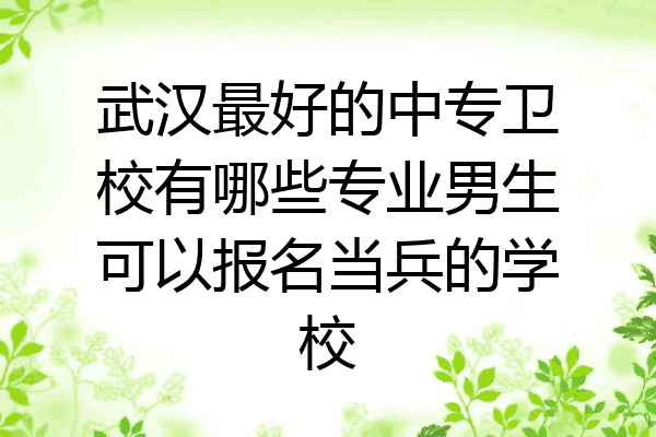 武汉最好的中专卫校有哪些专业男生可以报名当兵的学校
