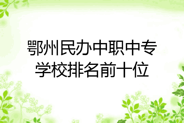 鄂州民办中职中专学校排名前十位