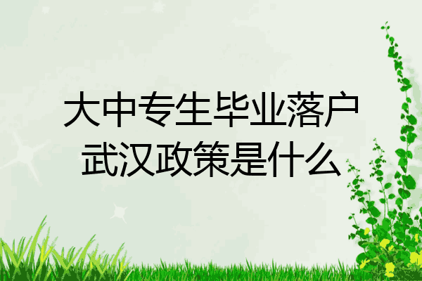 大中专生毕业落户武汉政策是什么