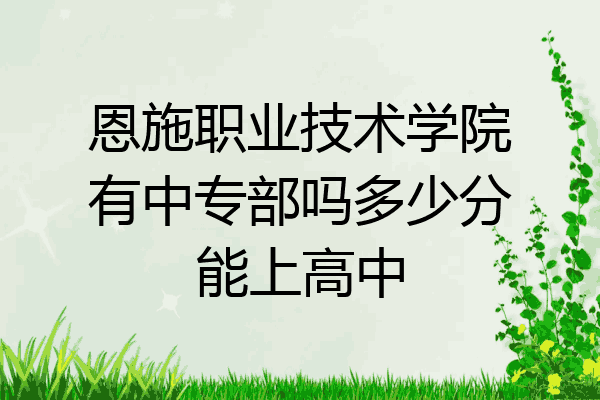恩施职业技术学院有中专部吗多少分能上高中