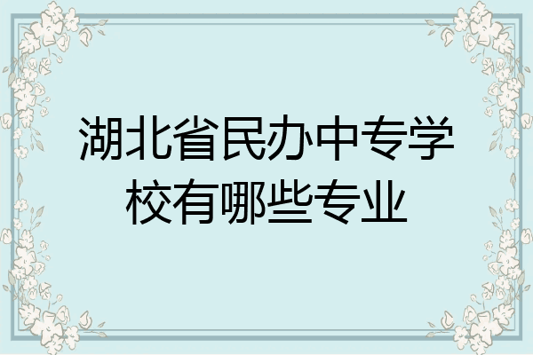 湖北省民办中专学校有哪些专业