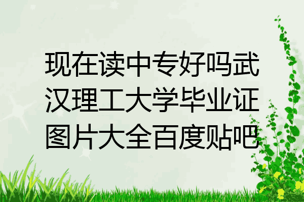 现在读中专好吗武汉理工大学毕业证图片大全百度贴吧