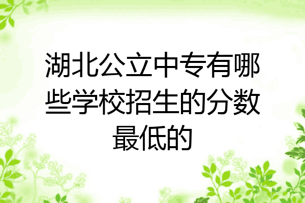 湖北公立中专有哪些学校招生的分数最低的