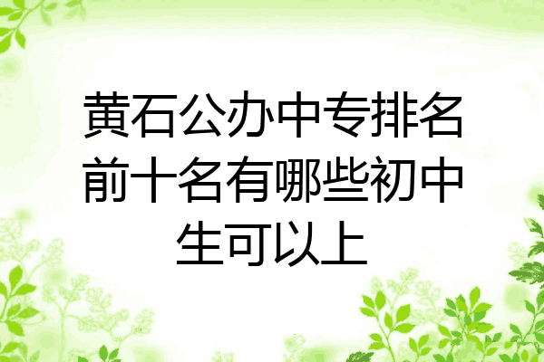 黄石公办中专排名前十名有哪些初中生可以上