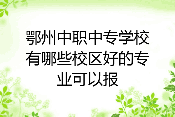 鄂州中职中专学校有哪些校区好的专业可以报