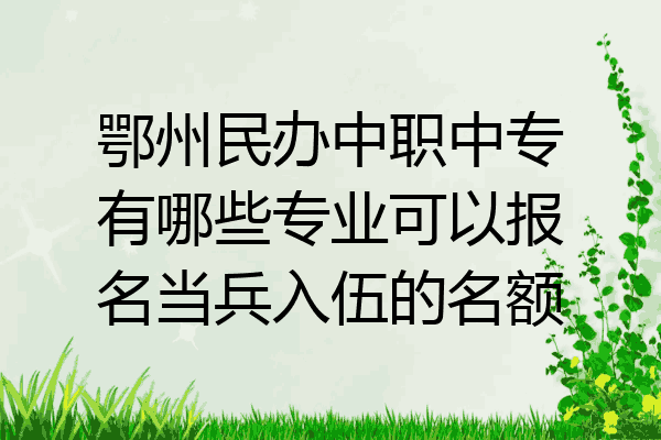 鄂州民办中职中专有哪些专业可以报名当兵入伍的名额