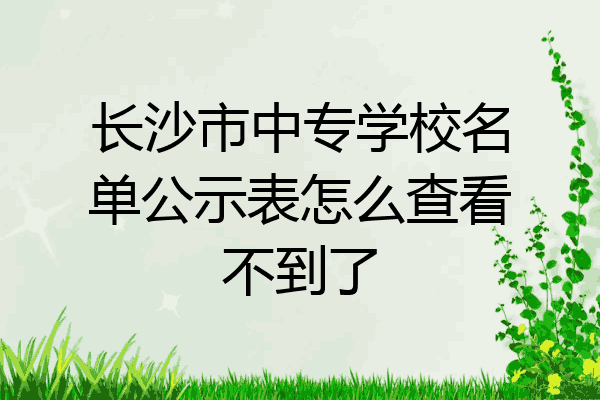 长沙市中专学校名单公示表怎么查看不到了