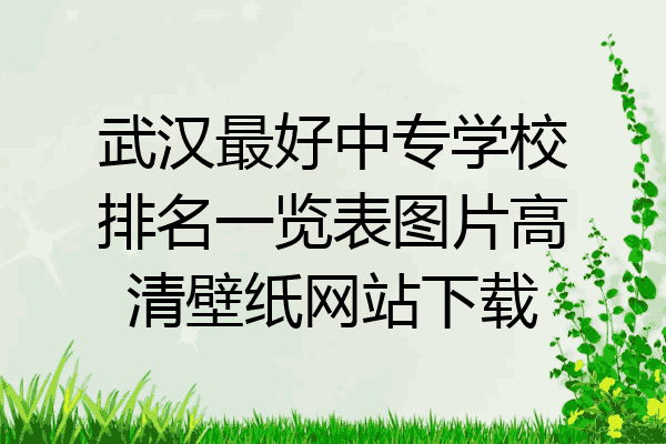 武汉最好中专学校排名一览表图片高清壁纸网站下载
