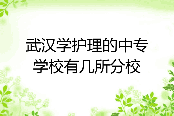 武汉学护理的中专学校有几所分校