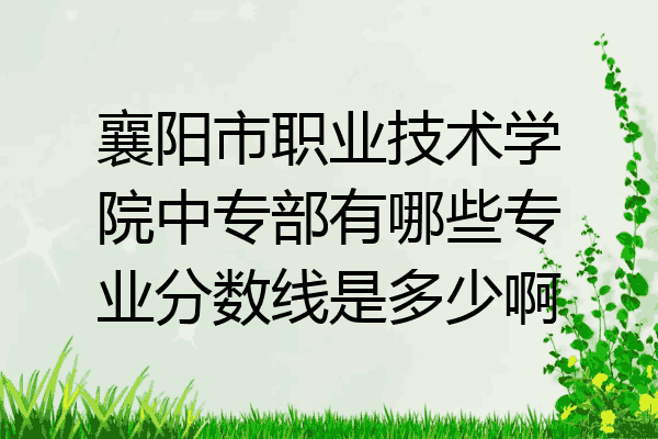 襄阳市职业技术学院中专部有哪些专业分数线是多少啊