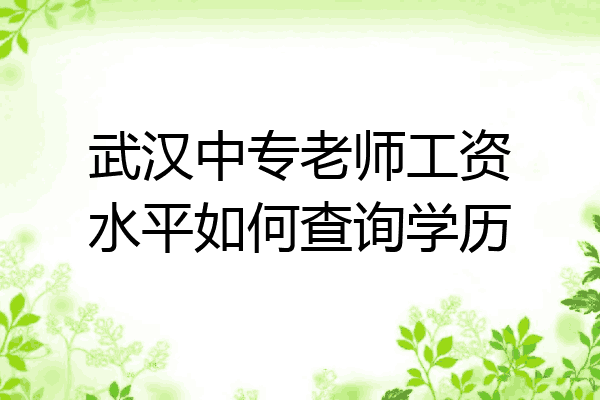 武汉中专老师工资水平如何查询学历