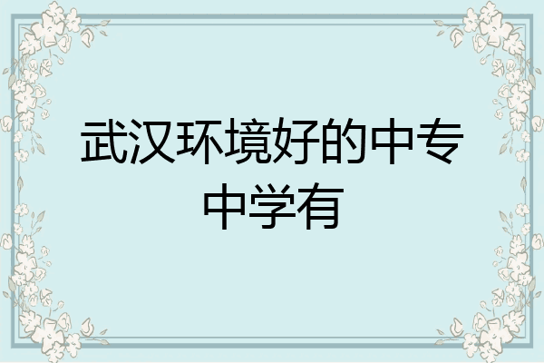 武汉环境好的中专中学有