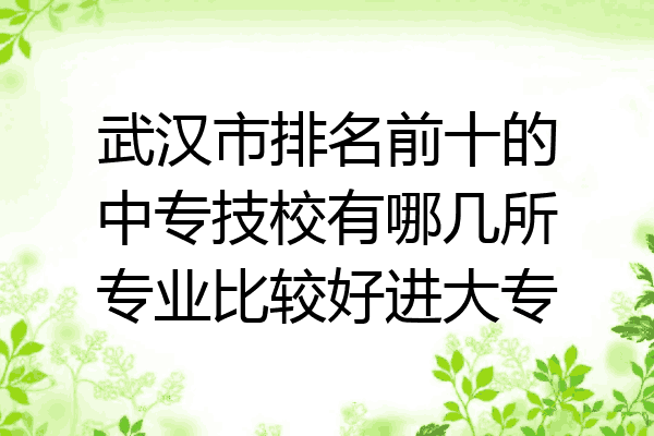 武汉市排名前十的中专技校有哪几所专业比较好进大专