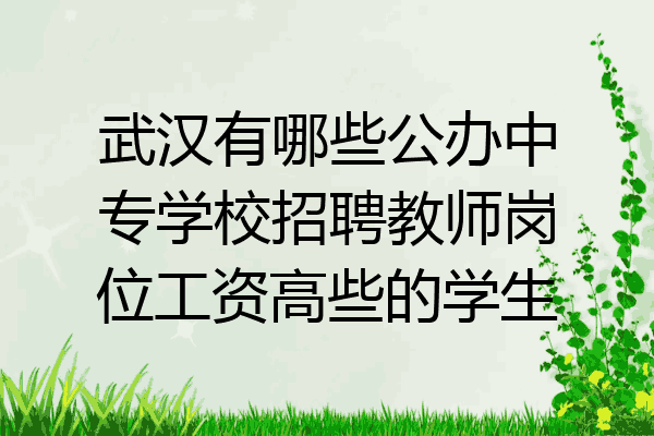武汉有哪些公办中专学校招聘教师岗位工资高些的学生