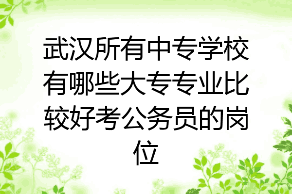 武汉所有中专学校有哪些大专专业比较好考公务员的岗位