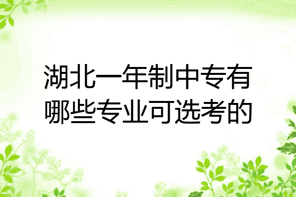湖北一年制中专有哪些专业可选考的