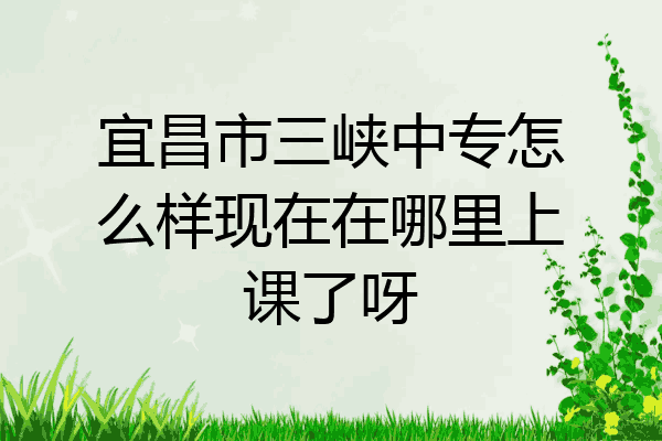 宜昌市三峡中专怎么样现在在哪里上课了呀