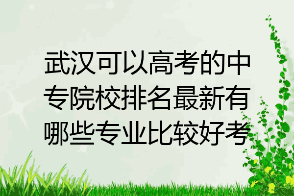 武汉可以高考的中专院校排名最新有哪些专业比较好考