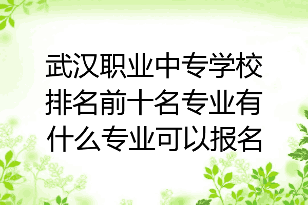 武汉职业中专学校排名前十名专业有什么专业可以报名