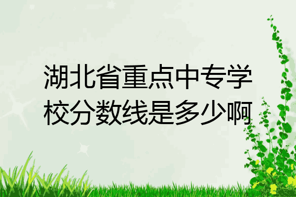 湖北省重点中专学校分数线是多少啊