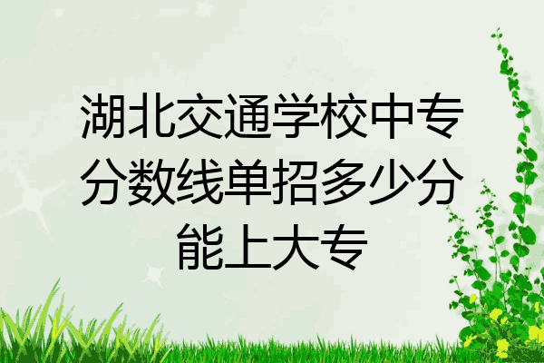 湖北交通学校中专分数线单招多少分能上大专