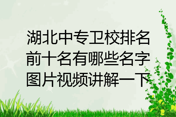 湖北中专卫校排名前十名有哪些名字图片视频讲解一下