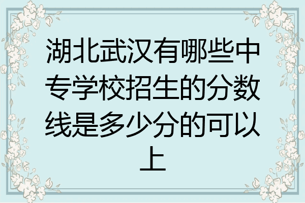 湖北武汉有哪些中专学校招生的分数线是多少分的可以上