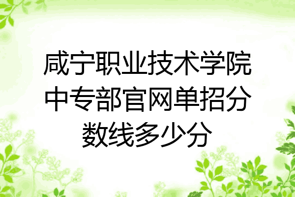 咸宁职业技术学院中专部官网单招分数线多少分