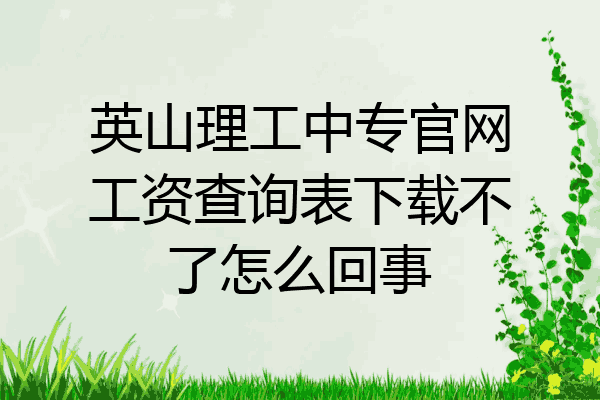 英山理工中专官网工资查询表下载不了怎么回事