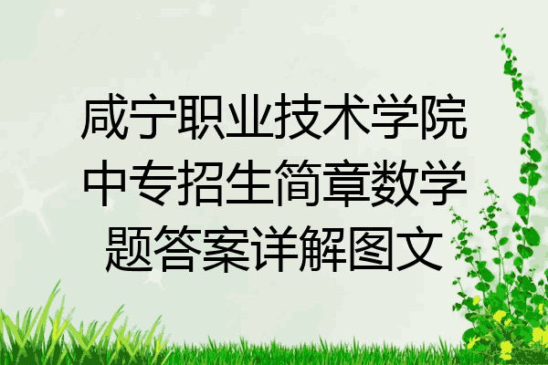 咸宁职业技术学院中专招生简章数学题答案详解图文