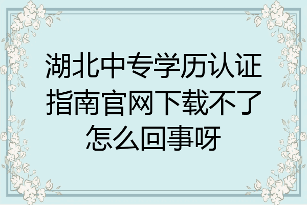 湖北中专学历认证指南官网下载不了怎么回事呀